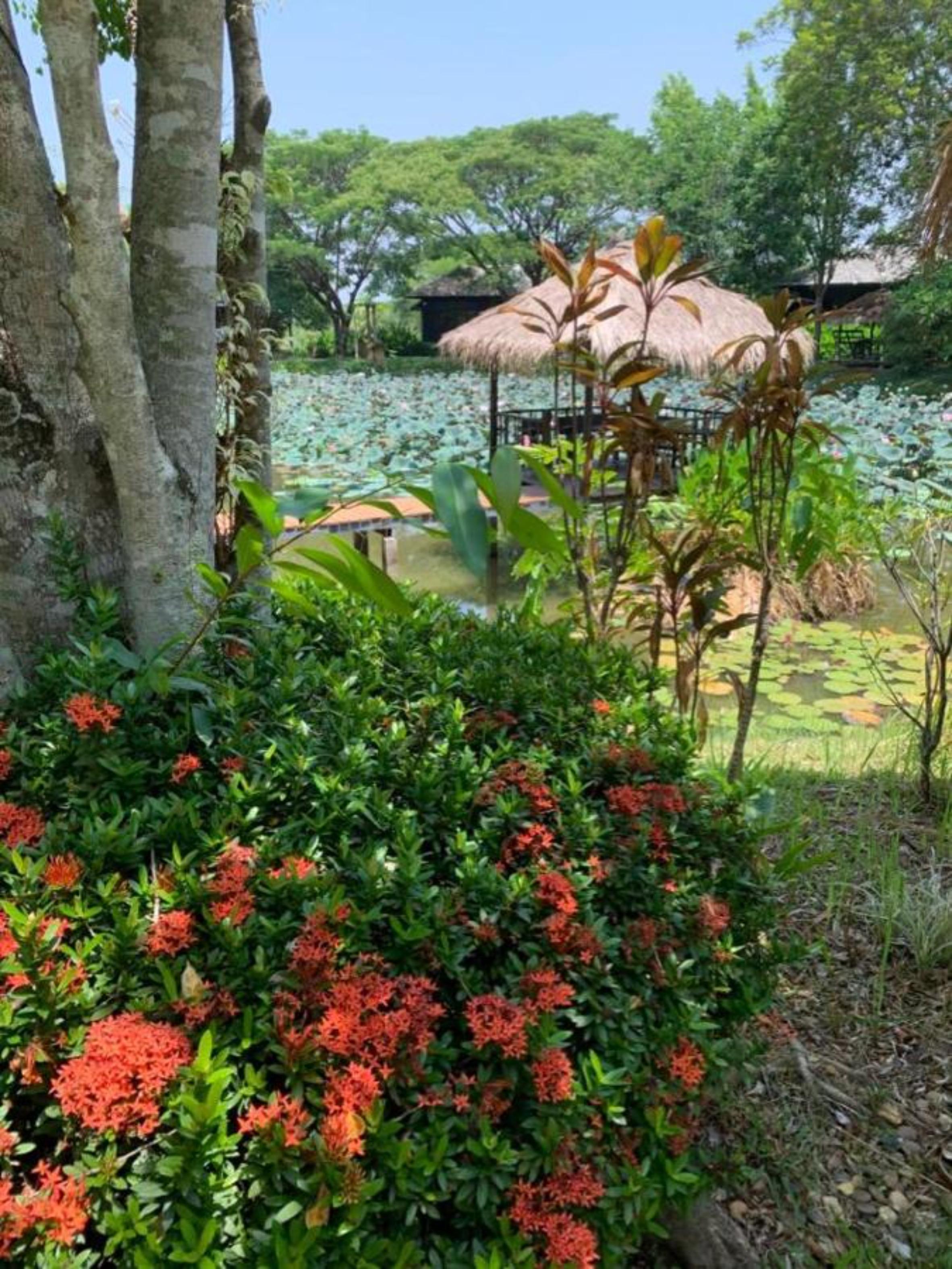 Baan Chai Thung Resort Doi Saket Exterior photo